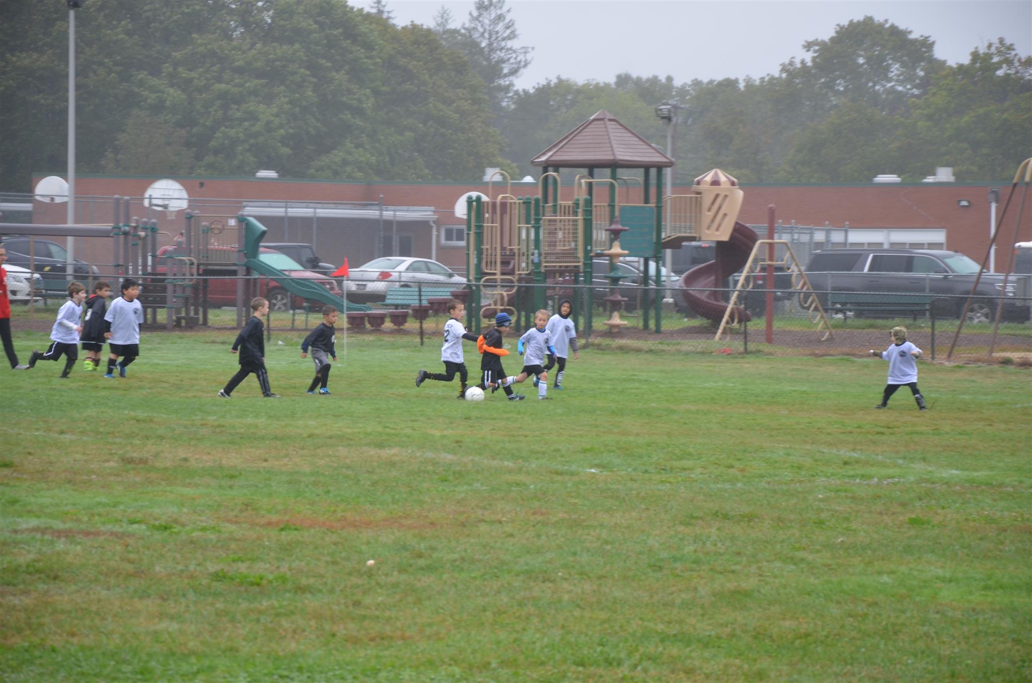 Terryville Soccer Club Powered bySportsSignUp Play