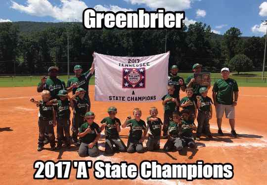 2017 TN DYB State Tournament 6U-A Champion