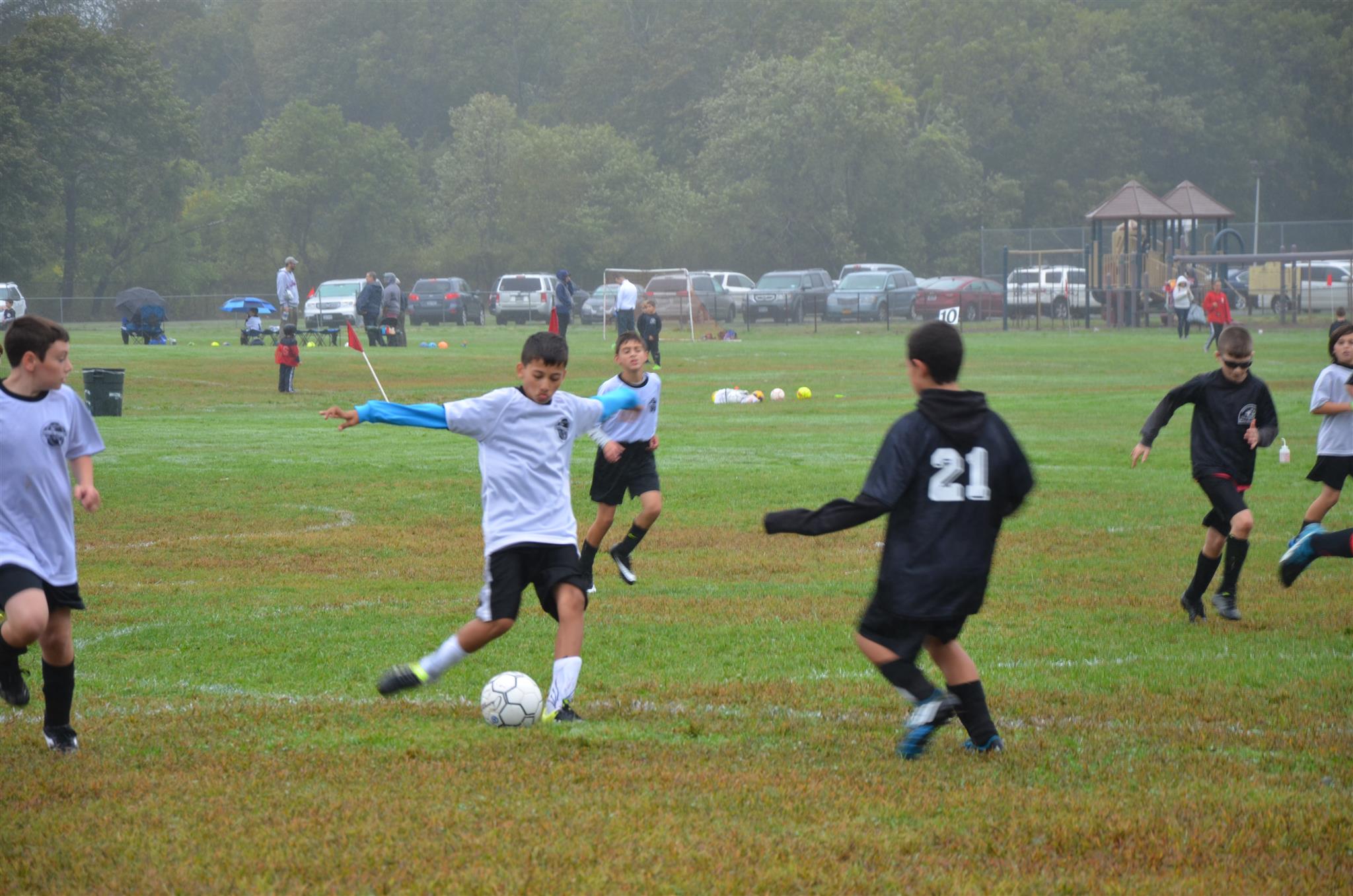 Terryville Soccer Club Powered bySportsSignUp Play