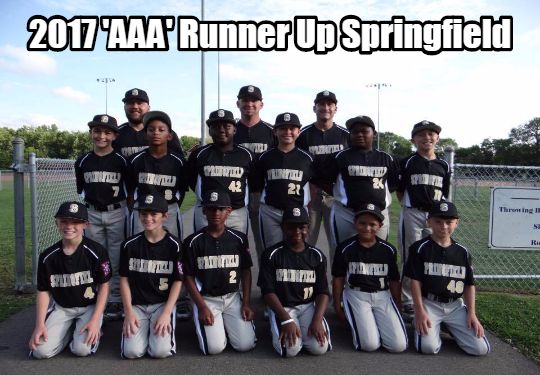 2017 TN DYB State Tournament 10U-AAA Runner-up