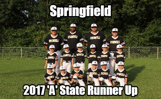 2017 TN DYB State Tournament 6U-A Runner-up